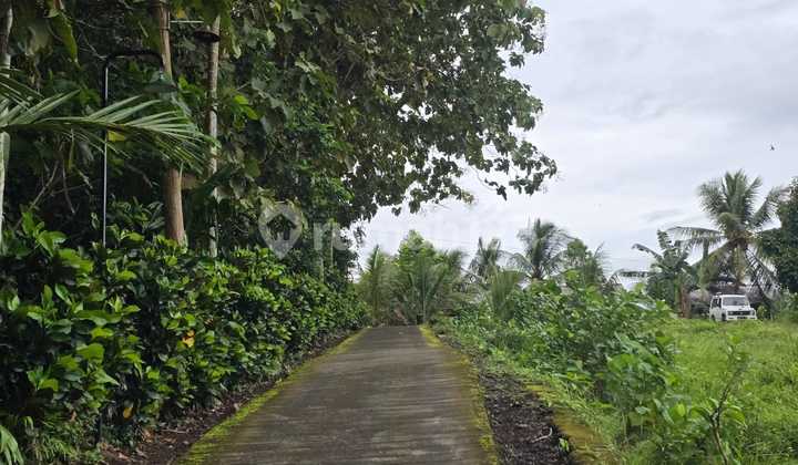 Tanah Luasan Kecil Dekat Villa View Lembah Jungle Tabanan Bali