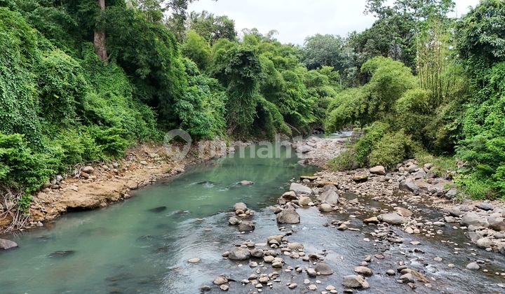 Dijual Tanah Los Sungai Dekat Pantai Tabanan Bali