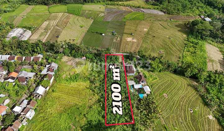 For Sale: Land with Beautiful Rice Field and Mountain View in Bali For Sale: Land with Beautiful Rice Field and Mountain View in Bali