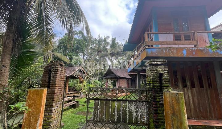 For Sale: Cheap Land and House in Tabanan, Bali