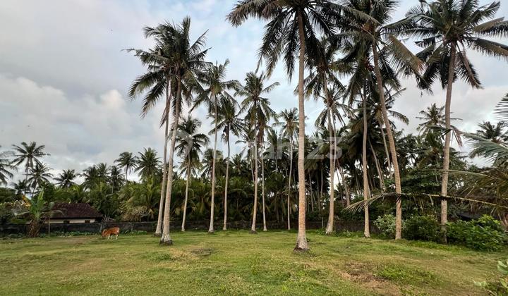 For Sale Beach Front Location Tabanan Bali For Sale Beach Front Location Tabanan Bali