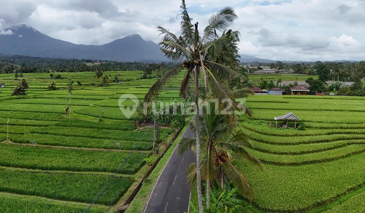 Selling Small Land with Beautiful Rice Field View in Tabanan, Bali