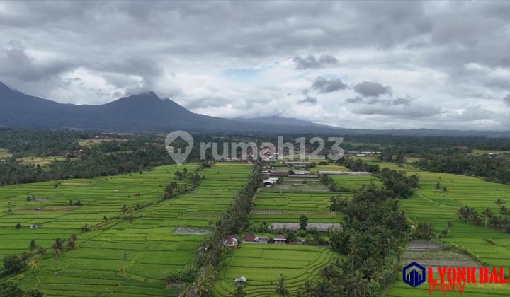 For Sale Small Wide Land with Rice Field and Mountain View in Tabanan Bali