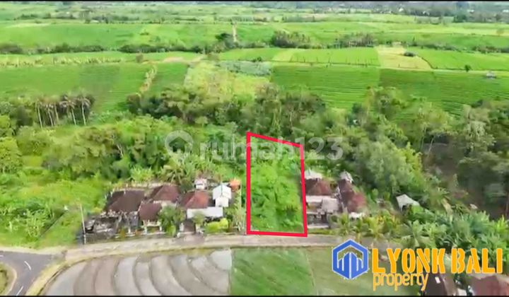 Dijual Tanah View Sawah Los Sungai Tabanan Bali Dijual Tanah View Sawah Los Sungai Tabanan Bali