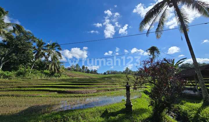 Dijual Tanah View Sawah Los Sungai Tabanan Bali