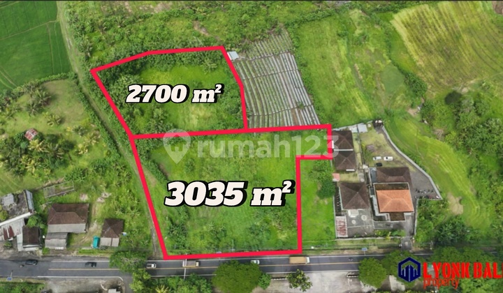 Selling Land on the Main Roadside with Rice Field and Mountain View in Tabanan, Bali Selling Land on the Main Roadside with Rice Field and Mountain View in Tabanan, Bali