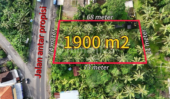 Land for Sale on the Main Denpasar-Gilimanuk Road, near Tabanan City.