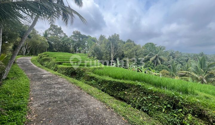 Jual Tanah Strategis,depan Pintu Masuk Air Terjun Singsing Angin Tabanan Bali.