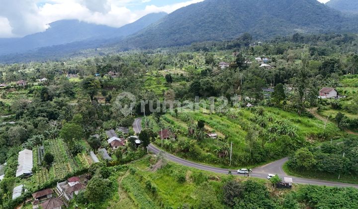 Dijual Lokasi View Cantik dengan Posisi Hook Jalan di Tabanan Bali Dijual Lokasi View Cantik dengan Posisi Hook Jalan di Tabanan Bali