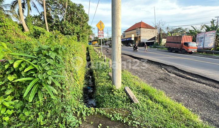 Ideal Size Land For Sale By The Road Between Properties In Bantas Village, East Selemadeg, Tabanan, Bali.