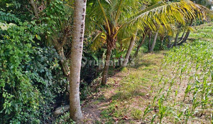 Cheapest Priced Land Near Beach In Tabanan Bali 2