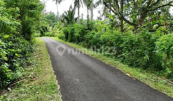 Dijual Tanah Dekat Pantai Los Sungai Dipinggir Jalan Hotmik Dijual Tanah Dekat Pantai Los Sungai Dipinggir Jalan Hotmik