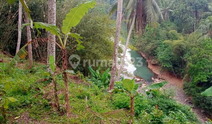Dijual Tanah View Sungai Besar Yang Exotik Di Tabanan Bali