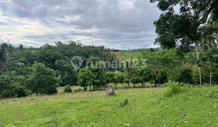 Tanah View Sawah Gunung Dekat Pantai Tabanan Bali