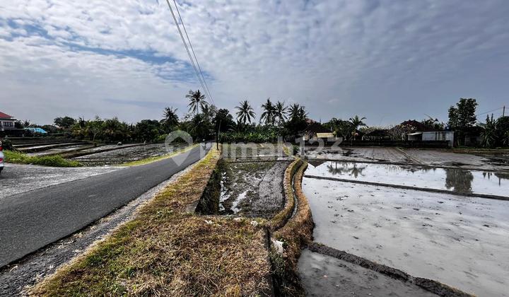 Sale of Small Plot of Land Near the Beach in Tabanan, Bali Sale of Small Plot of Land Near the Beach in Tabanan, Bali