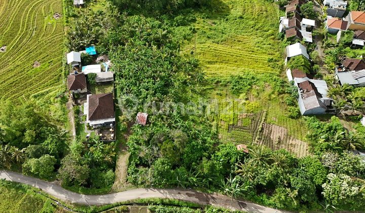 Selling Land with Views of Rice Fields, Mountains, Sea, and Denpasar City Near Tabanan City Selling Land with Views of Rice Fields, Mountains, Sea, and Denpasar City Near Tabanan City