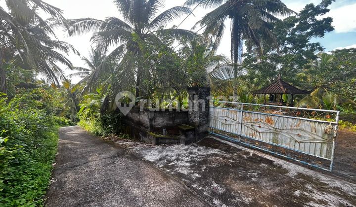 Dijual Lokasi Dekat Pantai View Sawa dan Sungai di Tabanan Bali