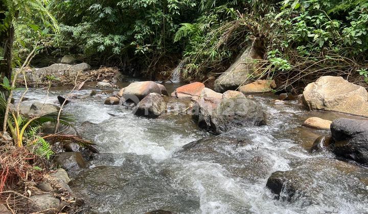 For sale: Land in Los Sungai, Rocky View Rice Fields, Tabanan, Bali