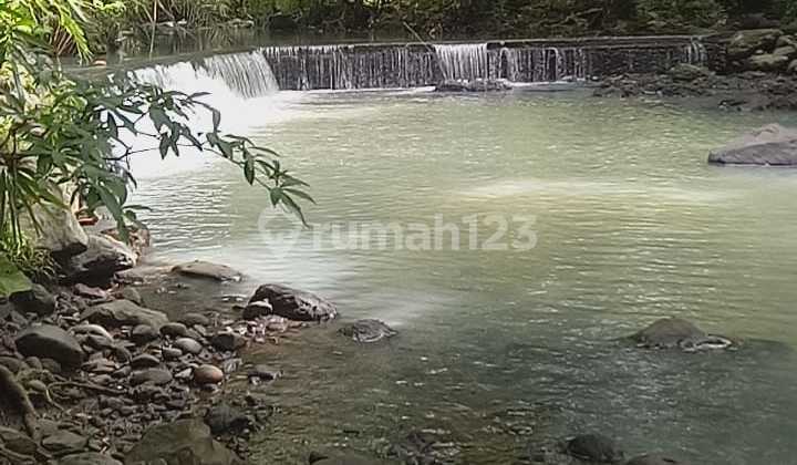 Jual Tanah Kebun Manggis Dan Durian Los Sungai Di Tabanan Bali.