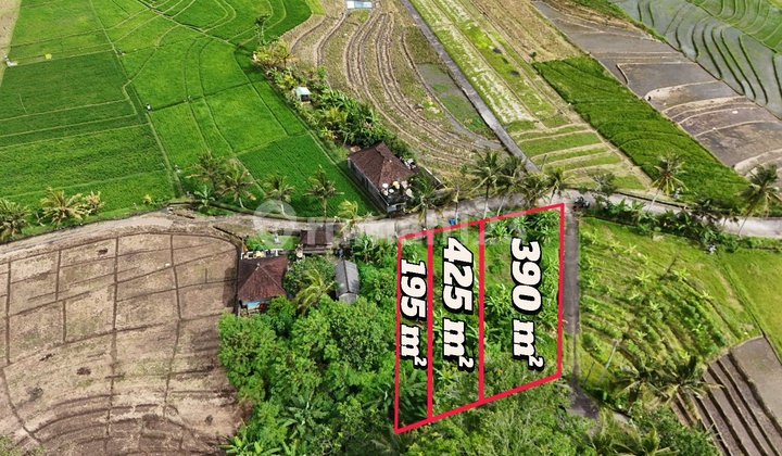 Sell Small Plot of Land with Rice Field Terrace View Near the Beach in Tabanan, Bali Sell Small Plot of Land with Rice Field Terrace View Near the Beach in Tabanan, Bali