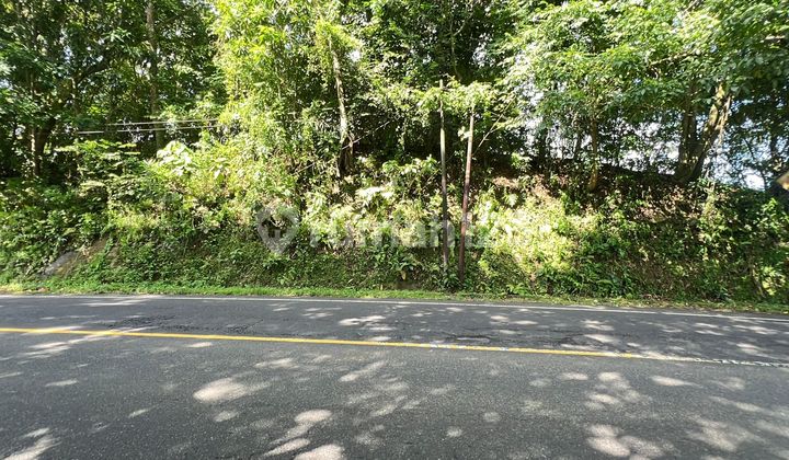 Dijual Tanah Pinggir Jalan Denpasar Gilimanuk Tabanan Bali