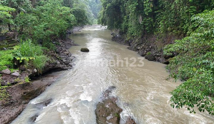 Jual Tanh Kebun Los Sungai Besar Murah Di Tabanan Bali Jual Tanh Kebun Los Sungai Besar Murah Di Tabanan Bali