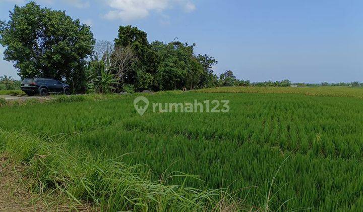 For Sale Land Near Pasut Beach, Tabanan, Bali. 2