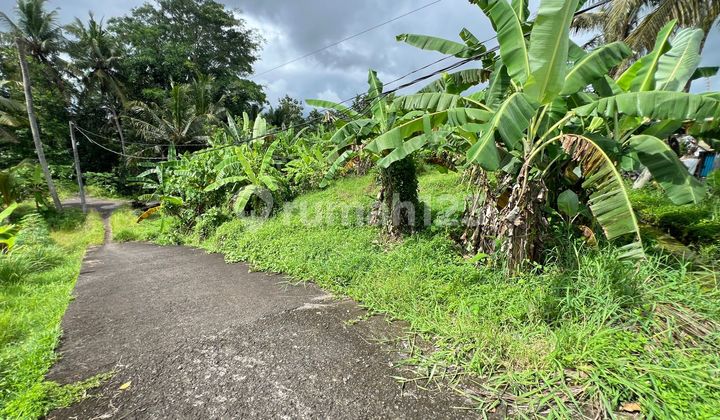 For Sale Land with Views of Terraced Rice Fields and Sea in Tabanan Bali For Sale Land with Views of Terraced Rice Fields and Sea in Tabanan Bali