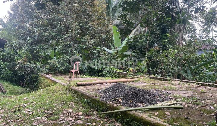 Selling Small Cheap Garden Land In Tabanan Bali Selling Small Cheap Garden Land In Tabanan Bali