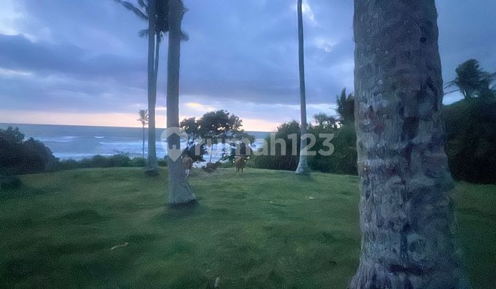 Tanah Los Pantai Indah di Tabanan Bali