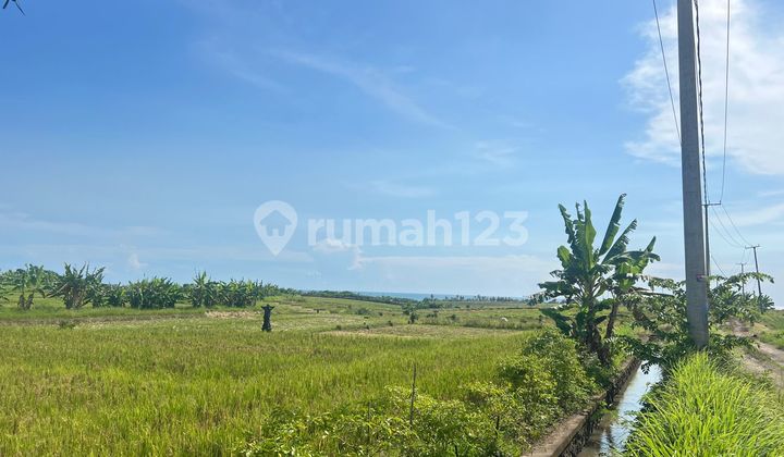 For Sale Land Area 550 M² 3 Minutes to the Beach in Kerambitan Tabanan Bali For Sale Land Area 550 M² 3 Minutes to the Beach in Kerambitan Tabanan Bali