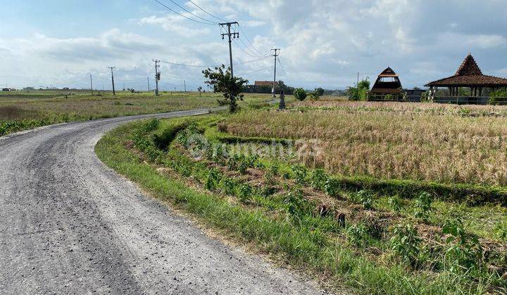 Jual Lokasi Luas Kecil 750 M² Dekat Pantai Di Tabanan Bali 2