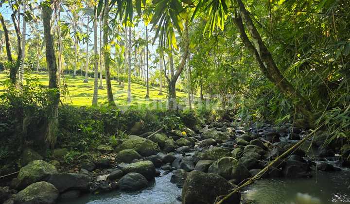 Tanah View Junggle Los Sungai Tabanan Bali