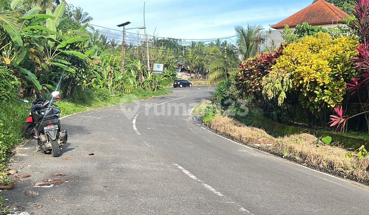 Land for Sale in a Strategic Location in Bantas Village, Mountain View, Beautiful, Next to the Main Road in Tabanan, Bali.