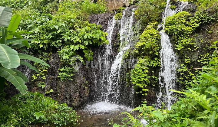 Jual Tanah View Cantik Isi Mata Air Udara Sejuk Di Tabanan Bali