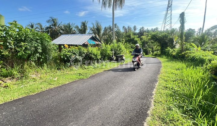Dijual Tanah Dekat Pantai dan Jalan Provinsi di Tabanan Bali