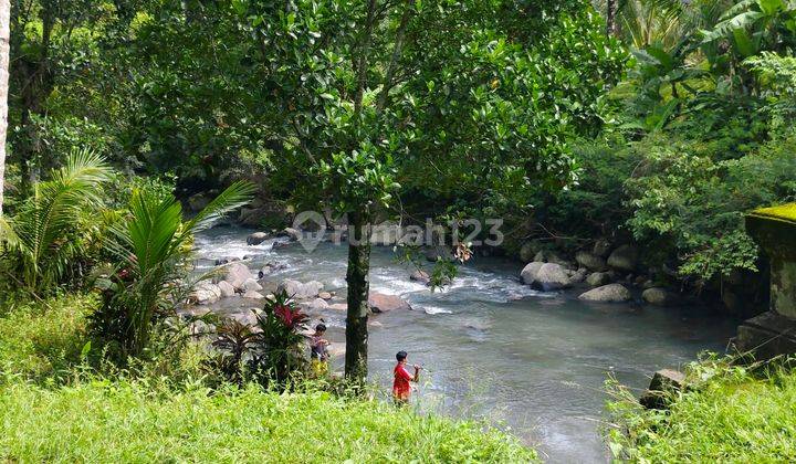 Jual Tanah Luasan Kecil Los Sungai Termurah Di Tabanan Bali 1