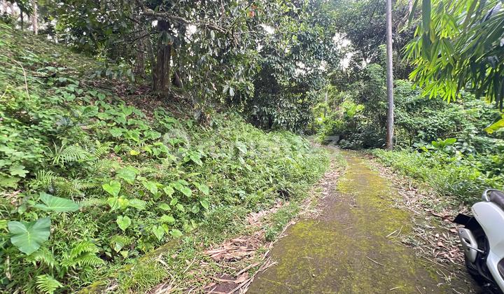 Dijual Tanah Kebun Tabanan Bali