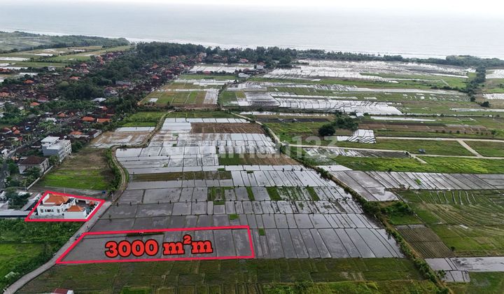 Sell Land in Pink Zone Area, Kelating Beach, Tabanan, Bali Sell Land in Pink Zone Area, Kelating Beach, Tabanan, Bali