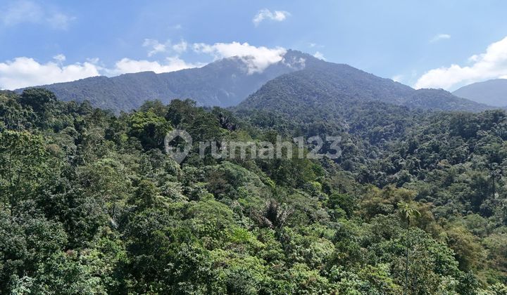 Land View Mountain Valley Sea Bonus Clear Spring in Tabanan Bali