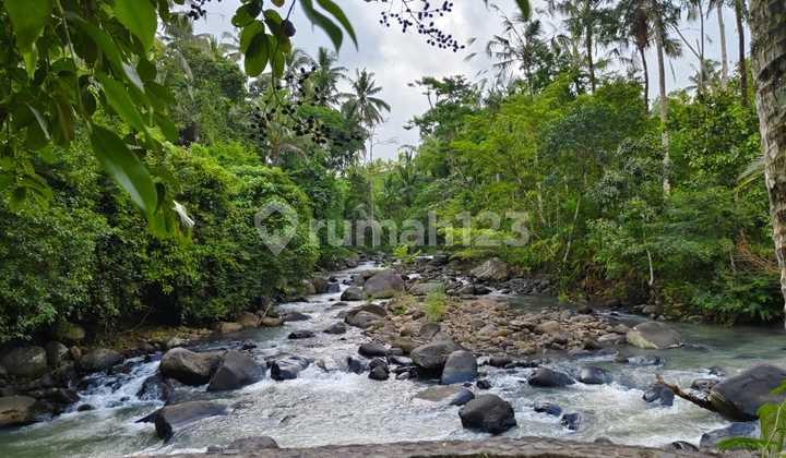 Jual Tanah Kebun Los Sungai View Sawah Murah Di Tabanan Bali