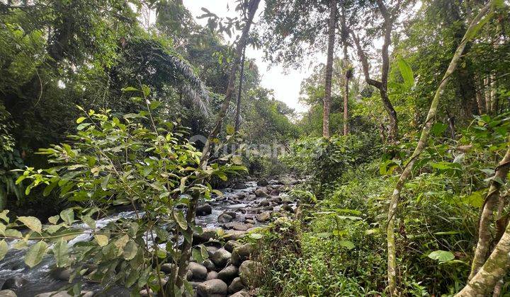 Jual Tanah Los Sungai Cantik Di Tabanan Bali. 2