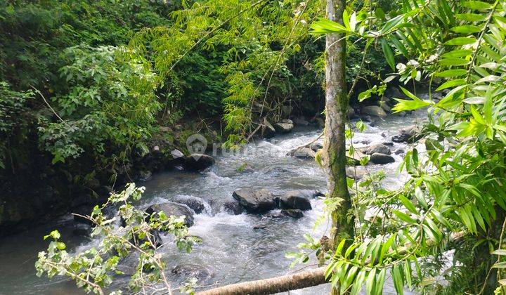 Jual Tanah Luasan Kecil Los Sungai Termurah Di Tabanan Bali 2