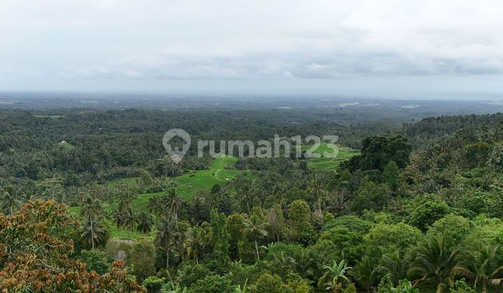 Jual Tanah Full Datar View Sawah Gunung Lembah Dan Kota Denpasr Di Tabanan Bali