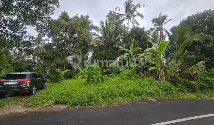 Dijual Tanah Kebun View Junggle Dekat Villa Tabanan Bali Dijual Tanah Kebun View Junggle Dekat Villa Tabanan Bali