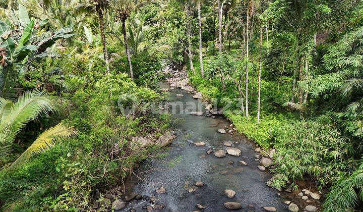 For Sale Small Riverfront Land in Tabanan Bali