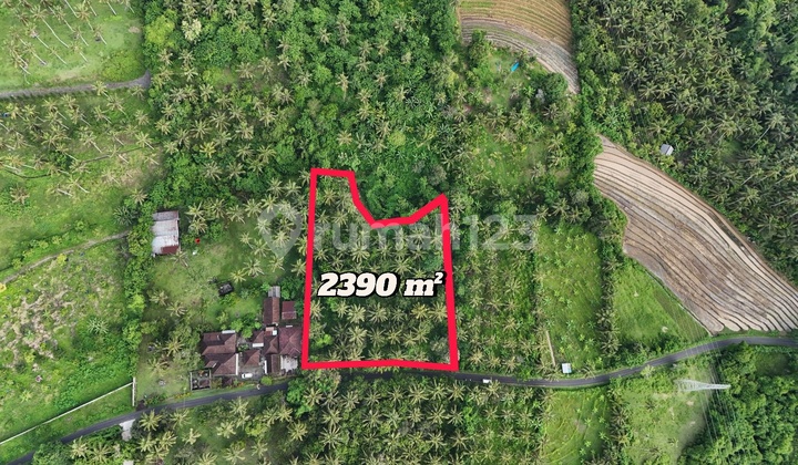 Jual Tanah Luasan Kecil Dekat Pantai Contour Datar di Tabanan Bali