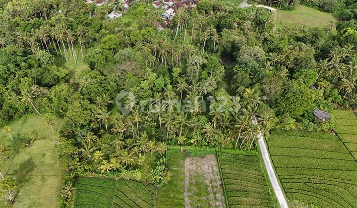 Dijual Tanah View Sawah dan Sungai Tabanan Bali Dijual Tanah View Sawah dan Sungai Tabanan Bali