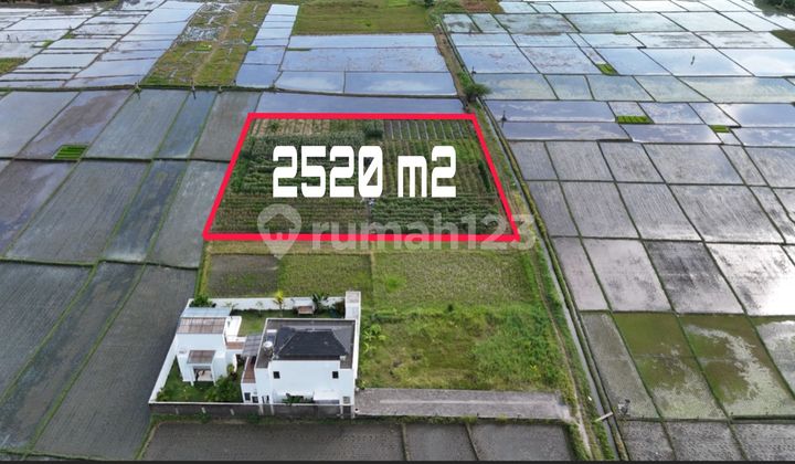 For Sale Land in Pink Zone 2 Minutes to the Beach in Kelating Tabanan Bali For Sale Land in Pink Zone 2 Minutes to the Beach in Kelating Tabanan Bali