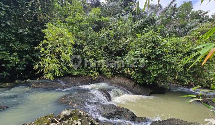Dijual Tanah View Junggle Los Sungai Berbatu Tabanan Bali